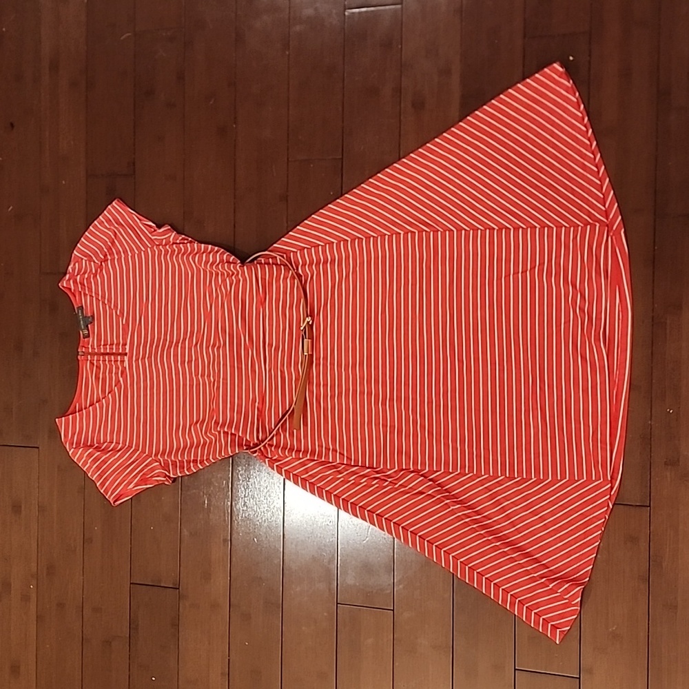 Outback Red by The Limited Skater Dress Medium